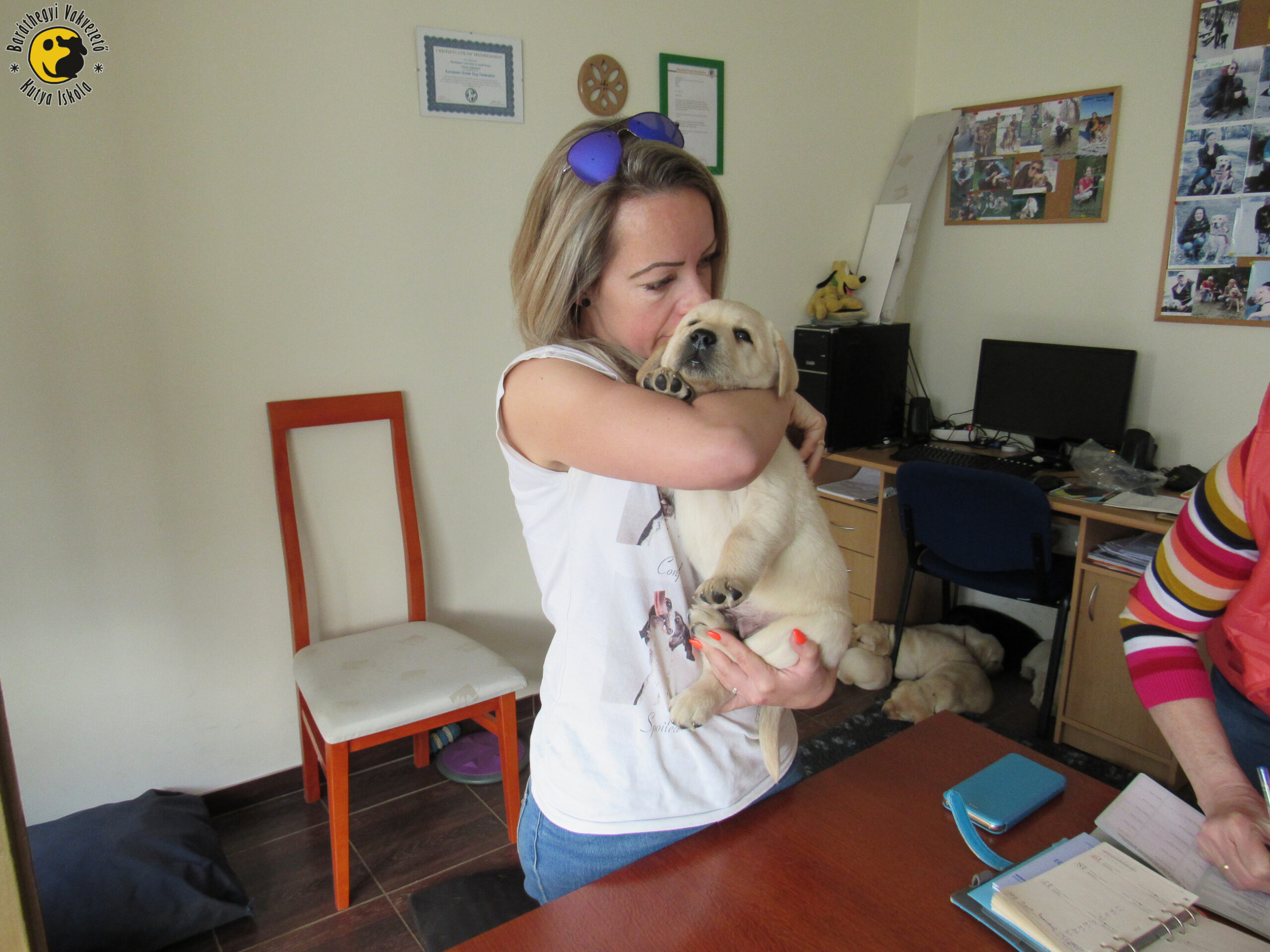 Támogasd a vakvezető kutyákat!