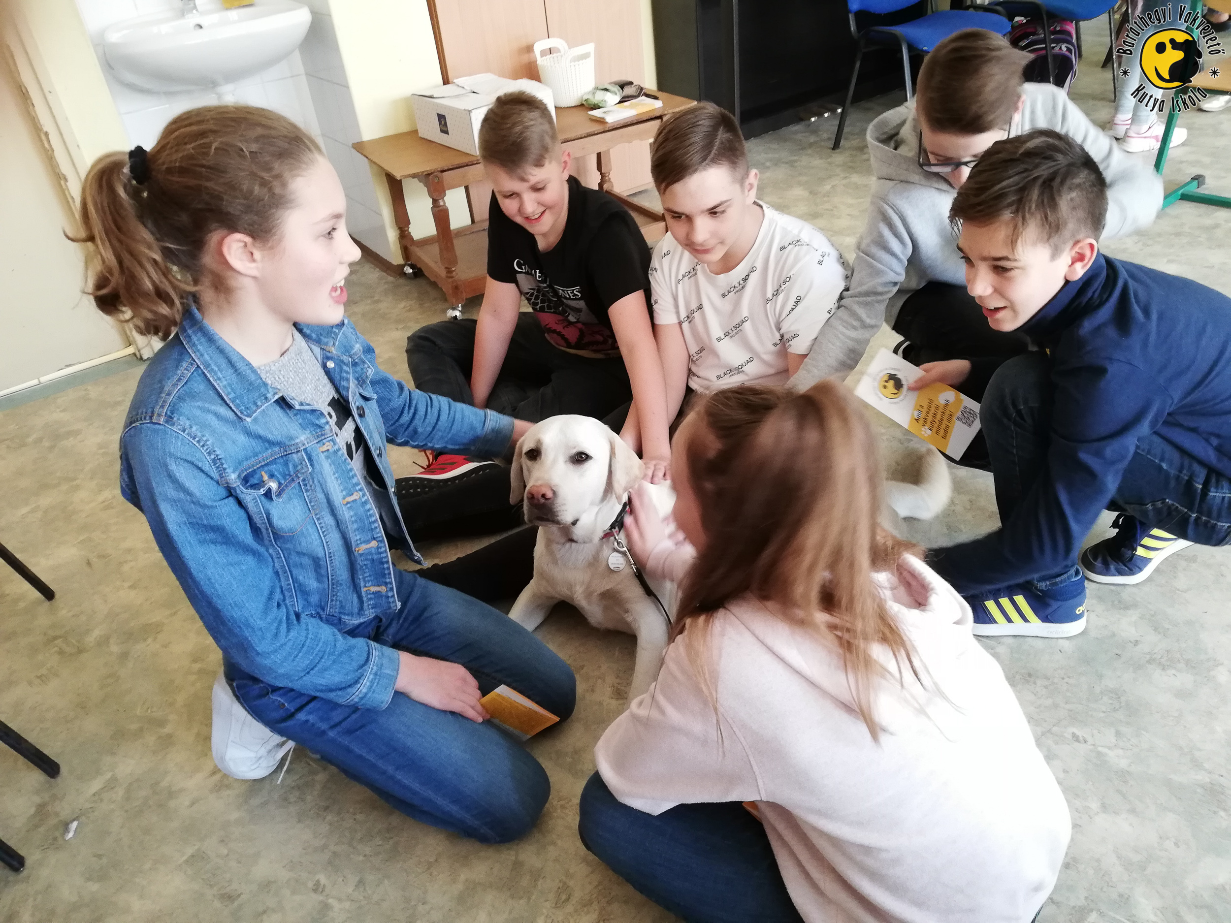 Our guide dogs were introduced to 100 children