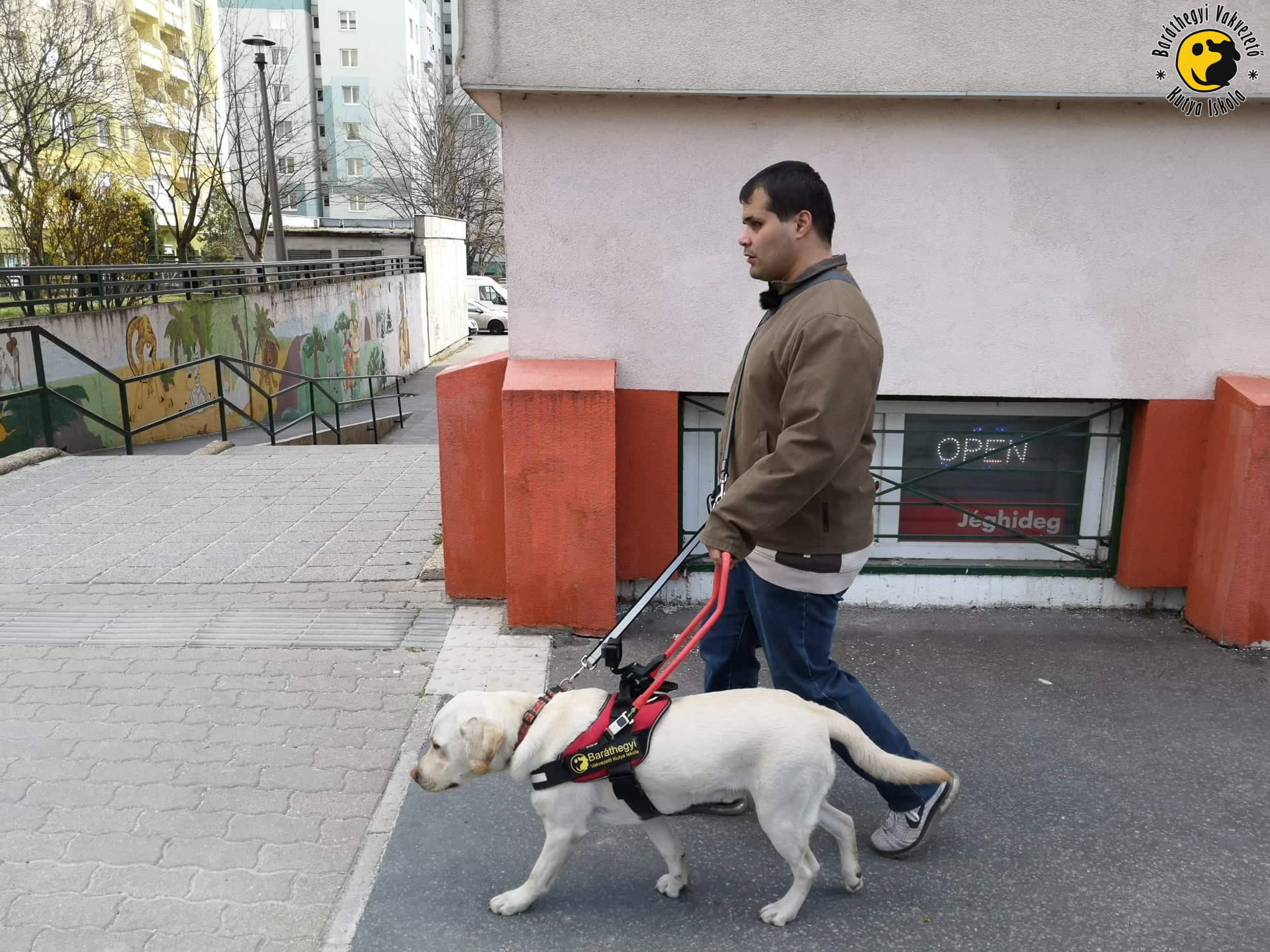 Sanyi és Ikon remek páros lesz!