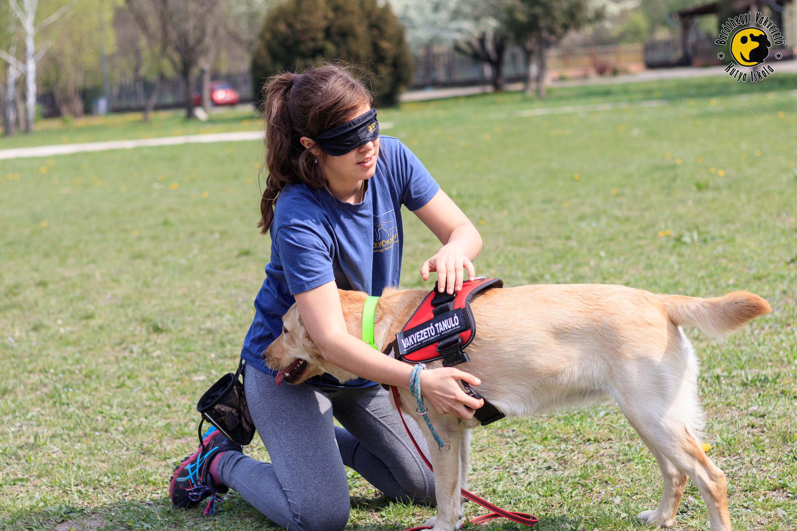 20 kutyánk volt ott áprilisi kölyöktalálkozónkon