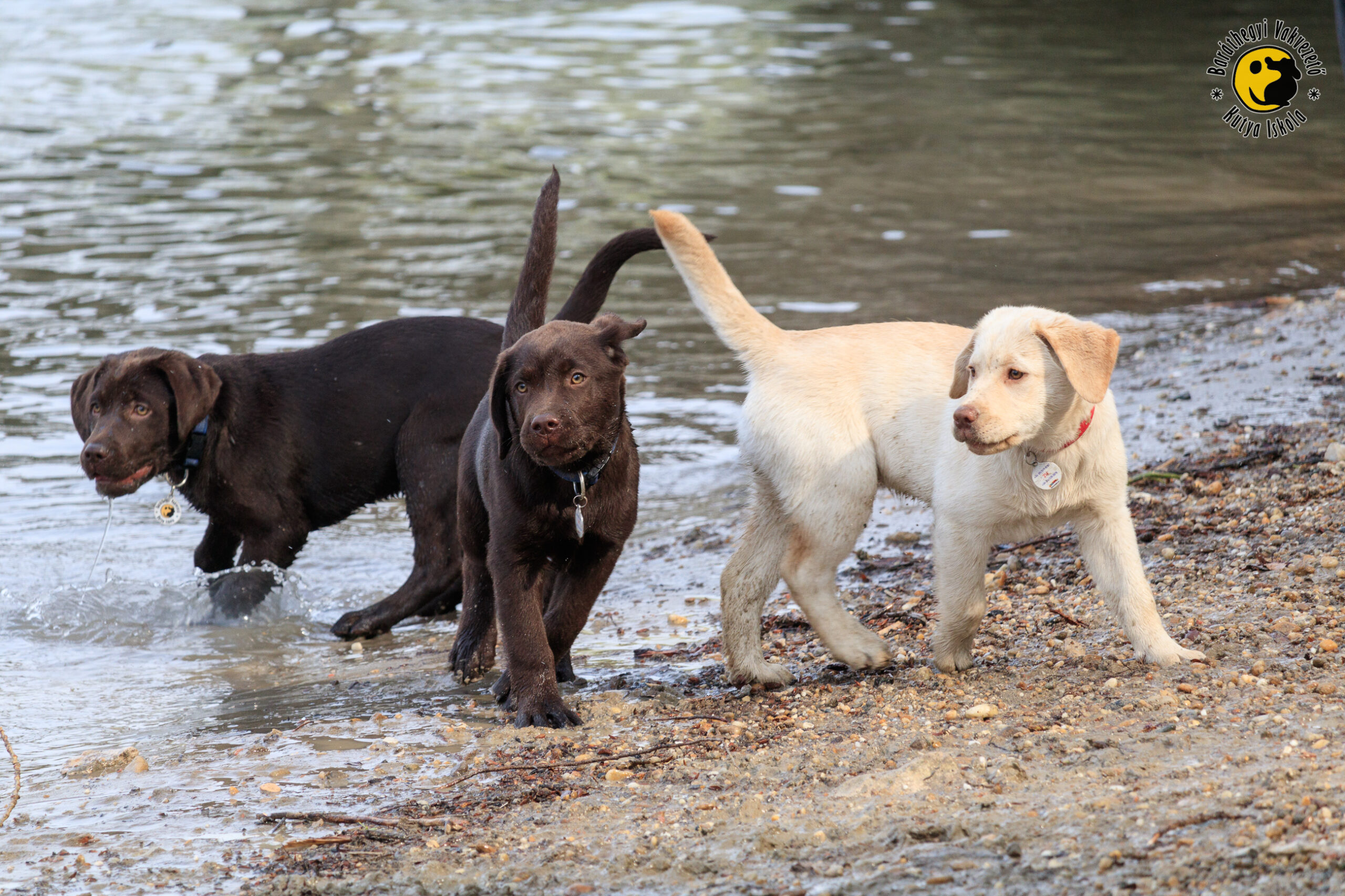 A tanulást nem lehet elég korán kezdeni
