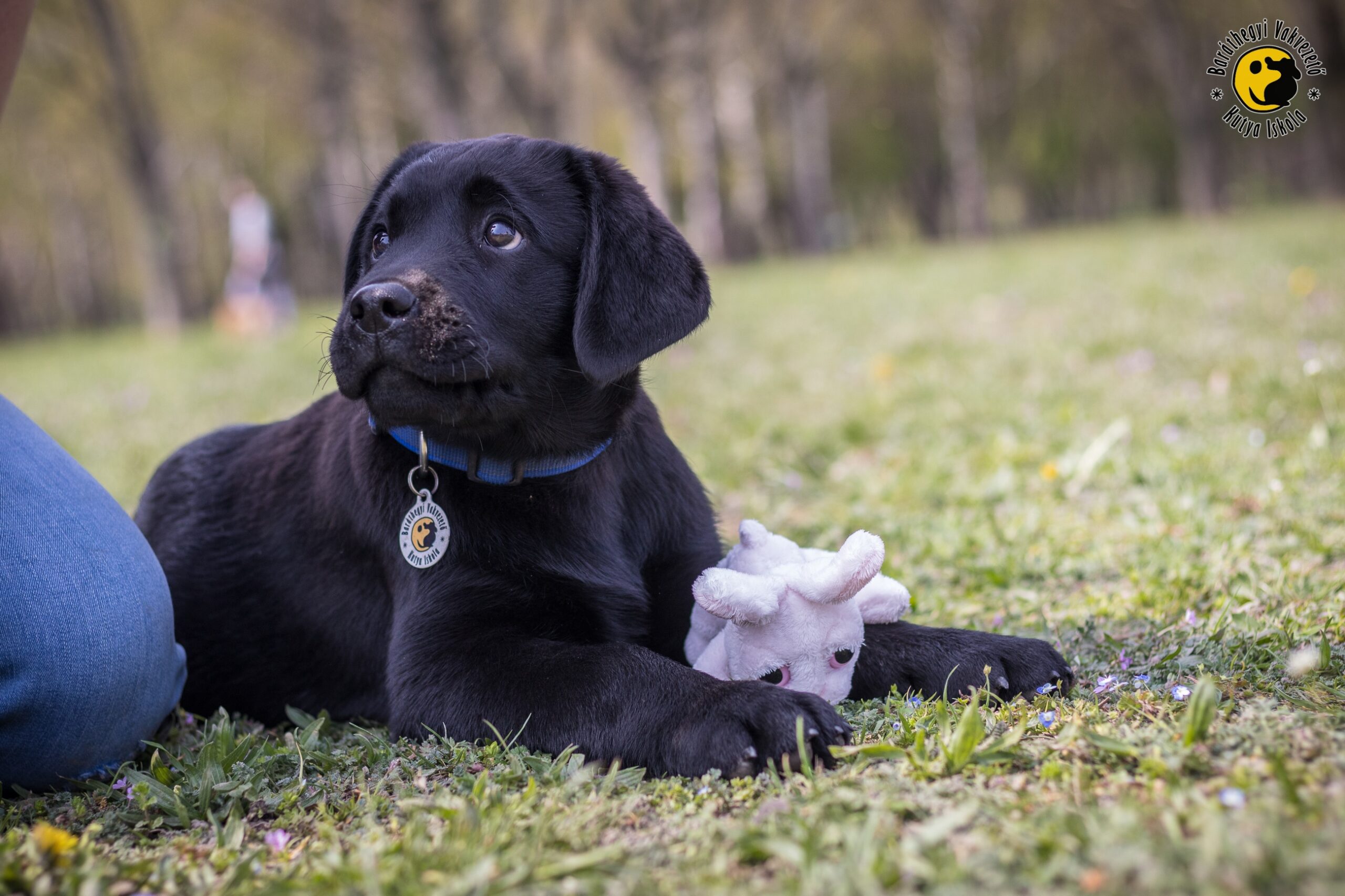 Boldog húsvétot kíván Legenda