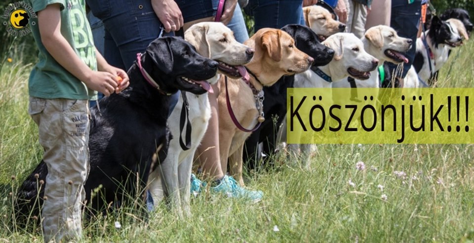 Köszönjük mindenkinek, aki a vakvezető kutyák mellé állt!