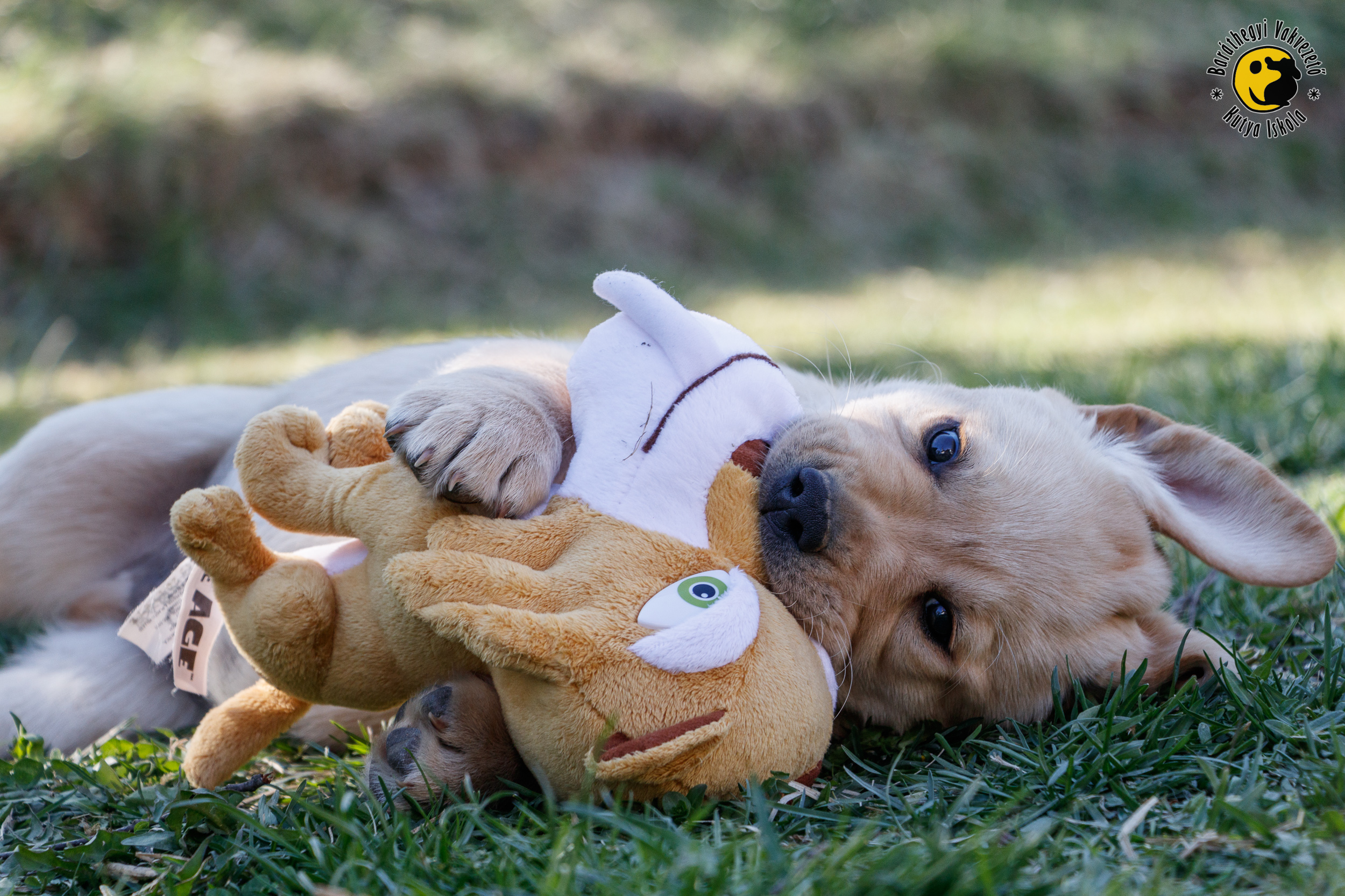 Mágnes is eager to start learning