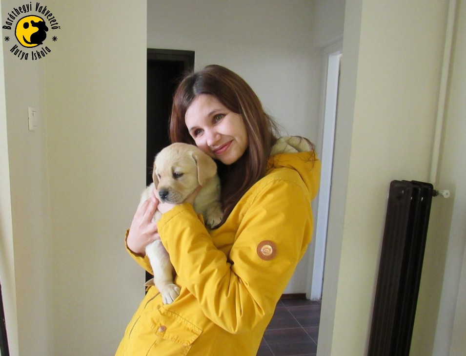 Segítség az 1% felajánlásának eredményes célba juttatásához