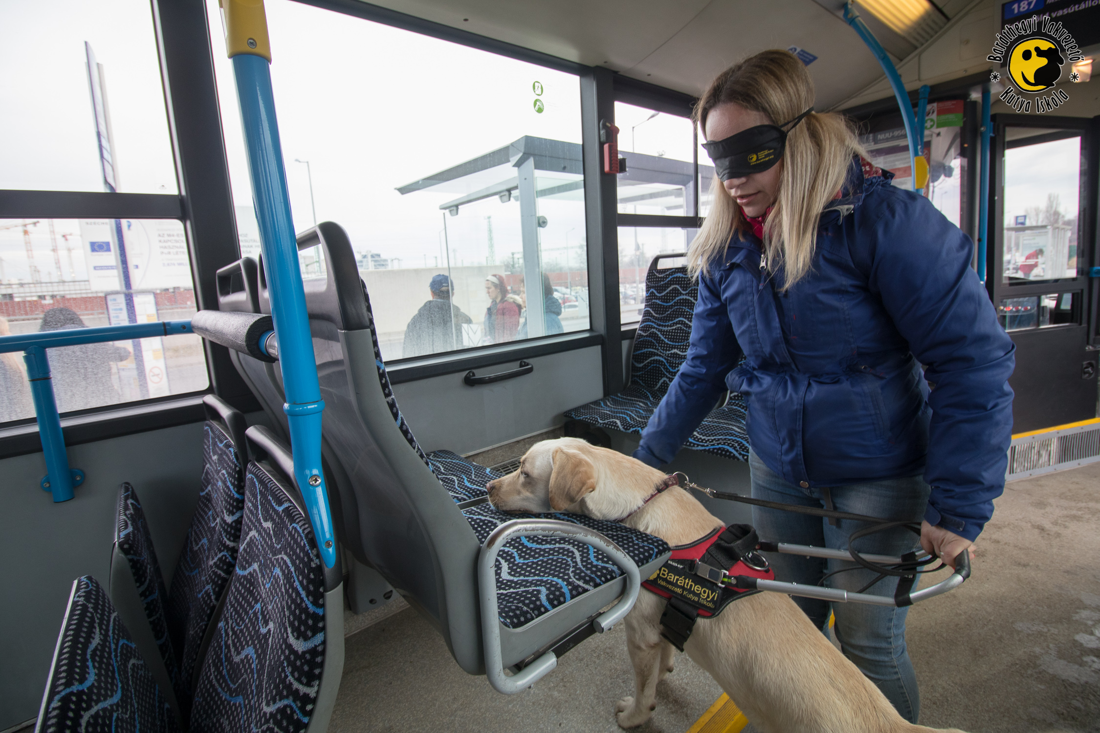 Enjoying life and learning to be a guide dog