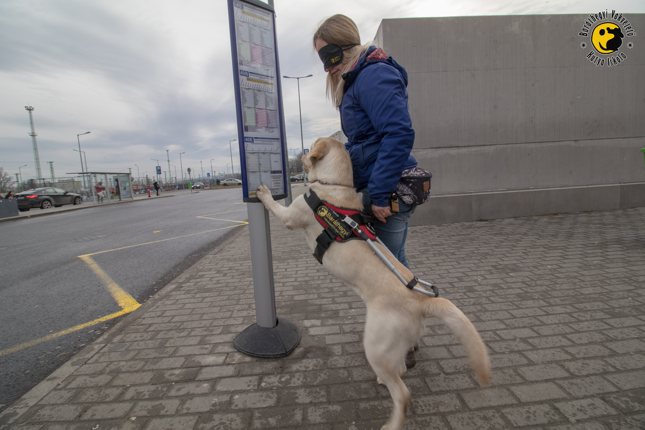 Iram és Antónia sikeres vizsgát tett