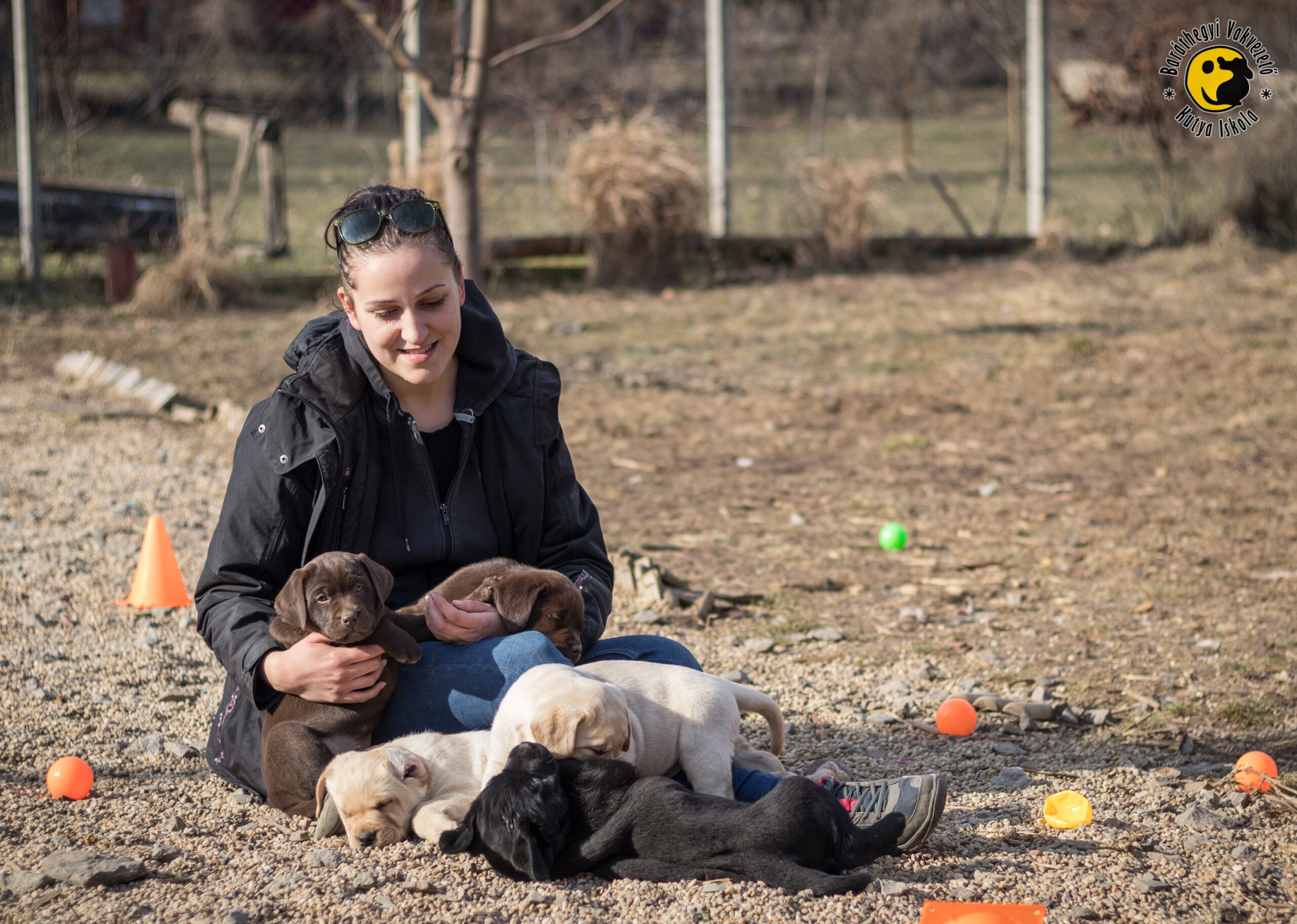 “Raising puppies is awesome”