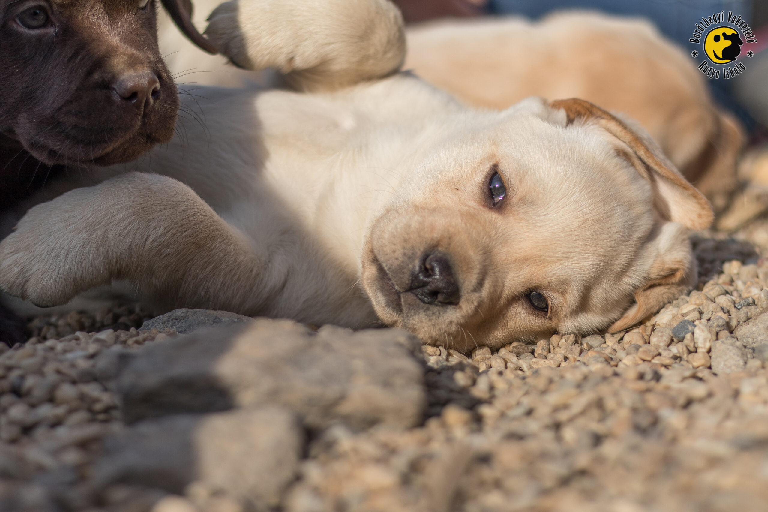 Még 10 napig lehet felajánlani az 1 százalékot