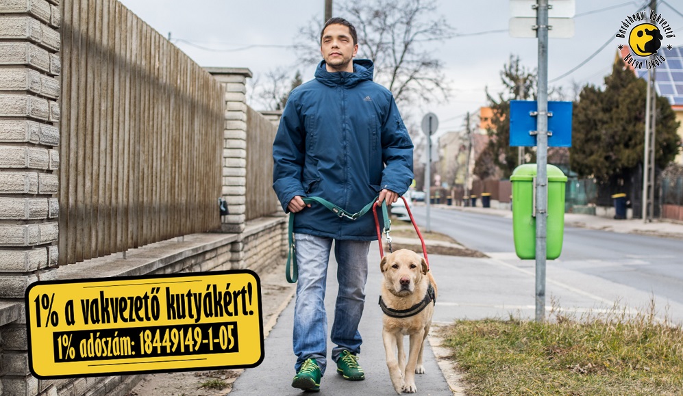 Segítség az 1% felajánlásának eredményes célba juttatásához