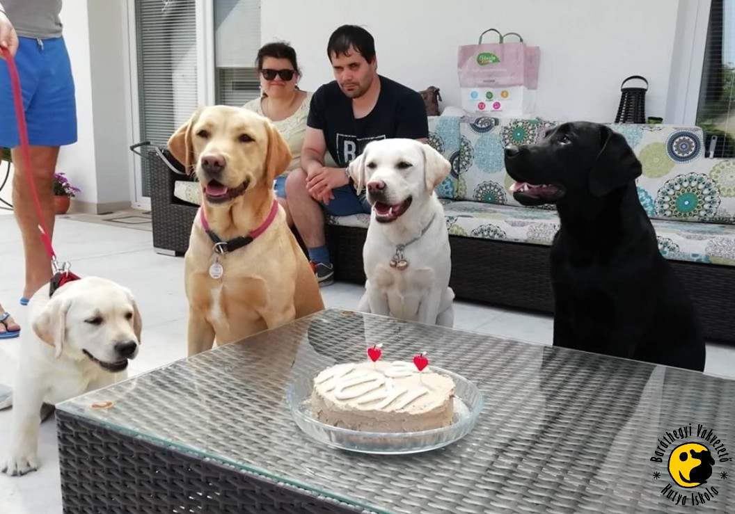 Ikon celebrated his 2nd birthday