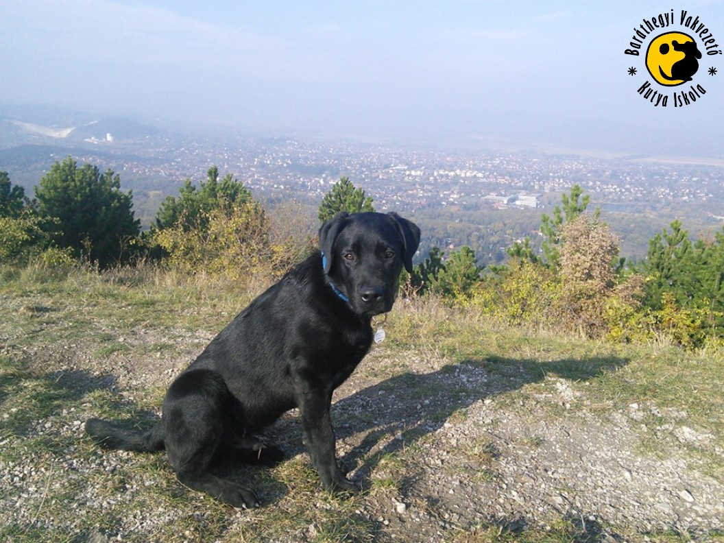 Kontra has entered a new phase of training