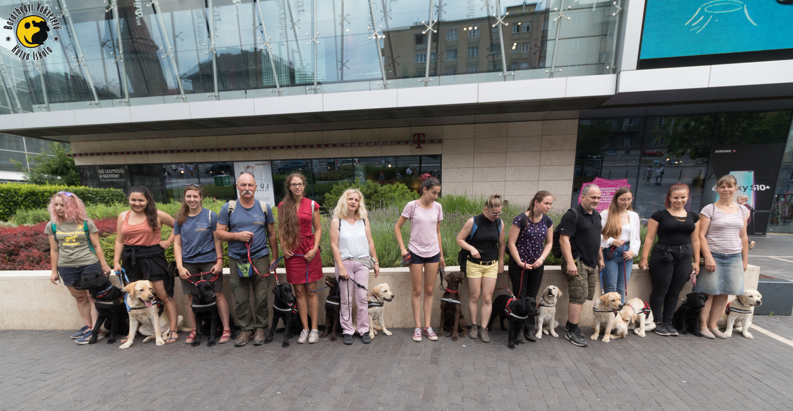 Egy vakvezető kutyának a gazdira kell fókuszálni