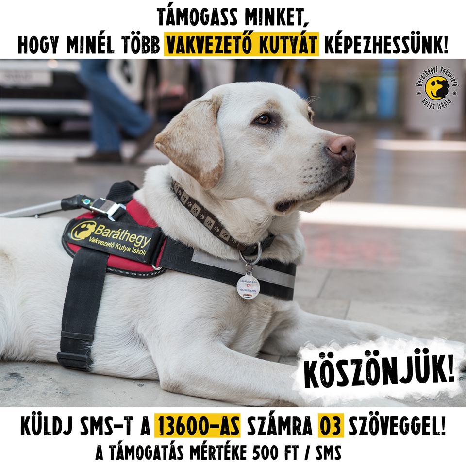 Ikon arra kér mindenkit, hogy tárcsázzák a 13600-as telefonszámot, és üssék be a 03-as melléket, vagy küldjenek sms-t a 13600-as számra 03 szöveggel.