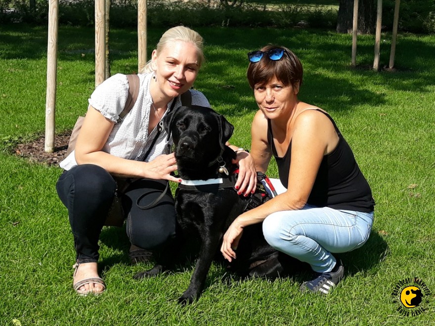 3 of our pairs passed successfully their exams