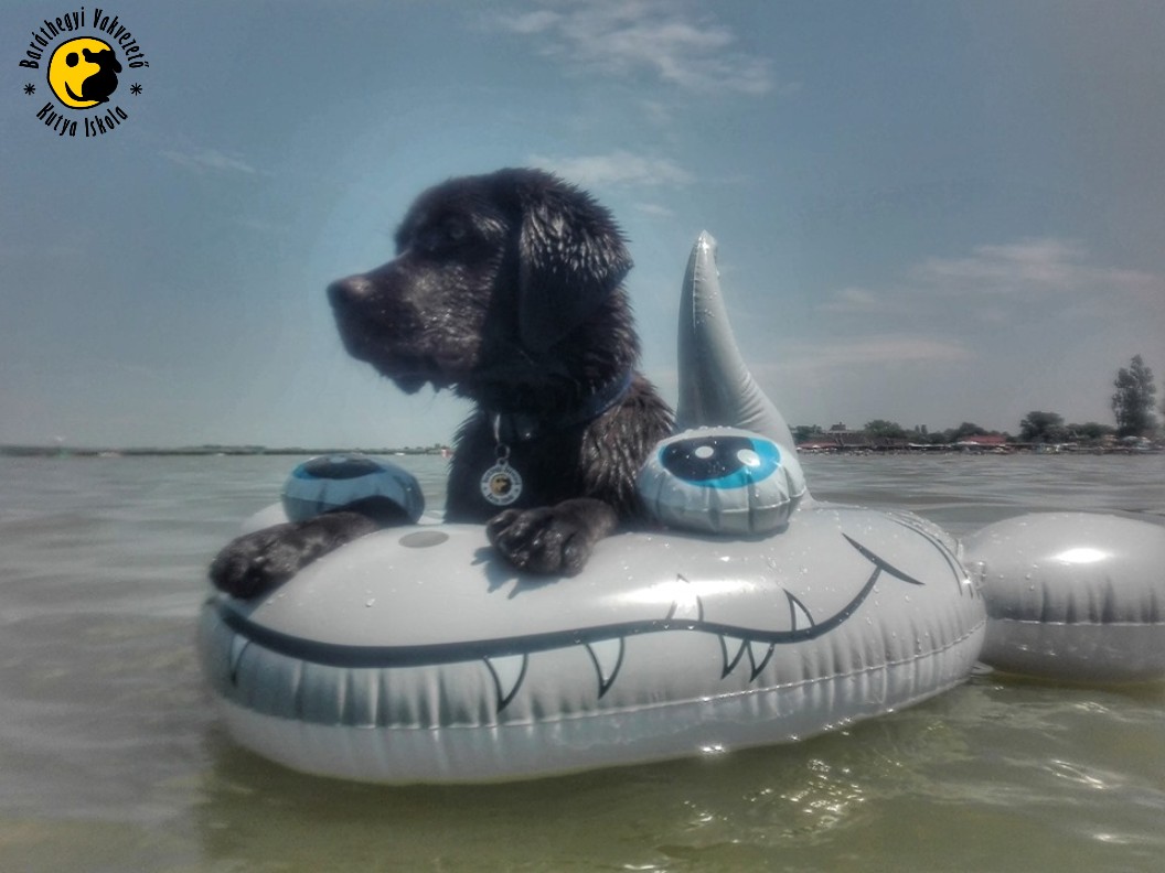 Our students enjoy the summer