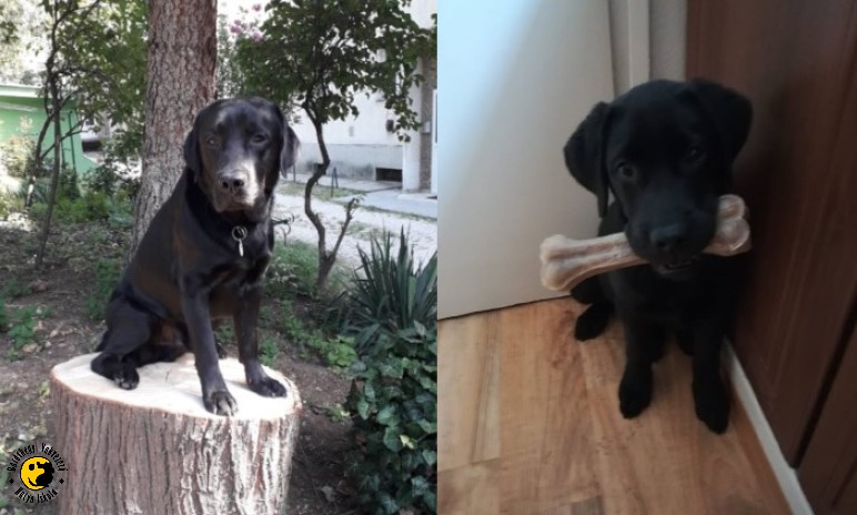 Grafit loves learning new things