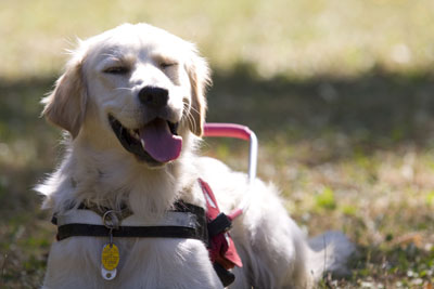 Befejeztem a 6 hónapos kiképzést!