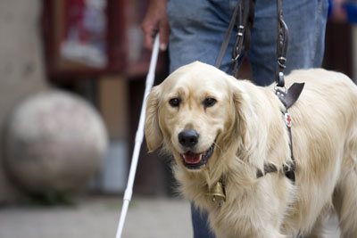 Letettem a közlekedésbiztonsági vizsgát!