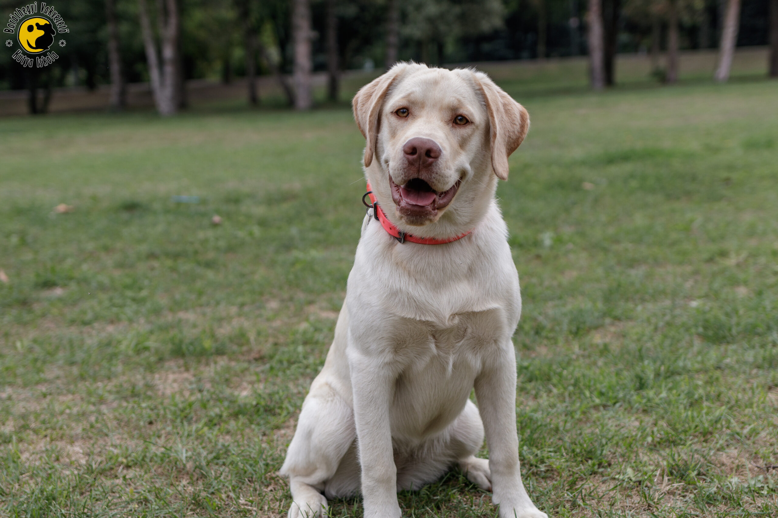 Latte egy nagyon finom lélek