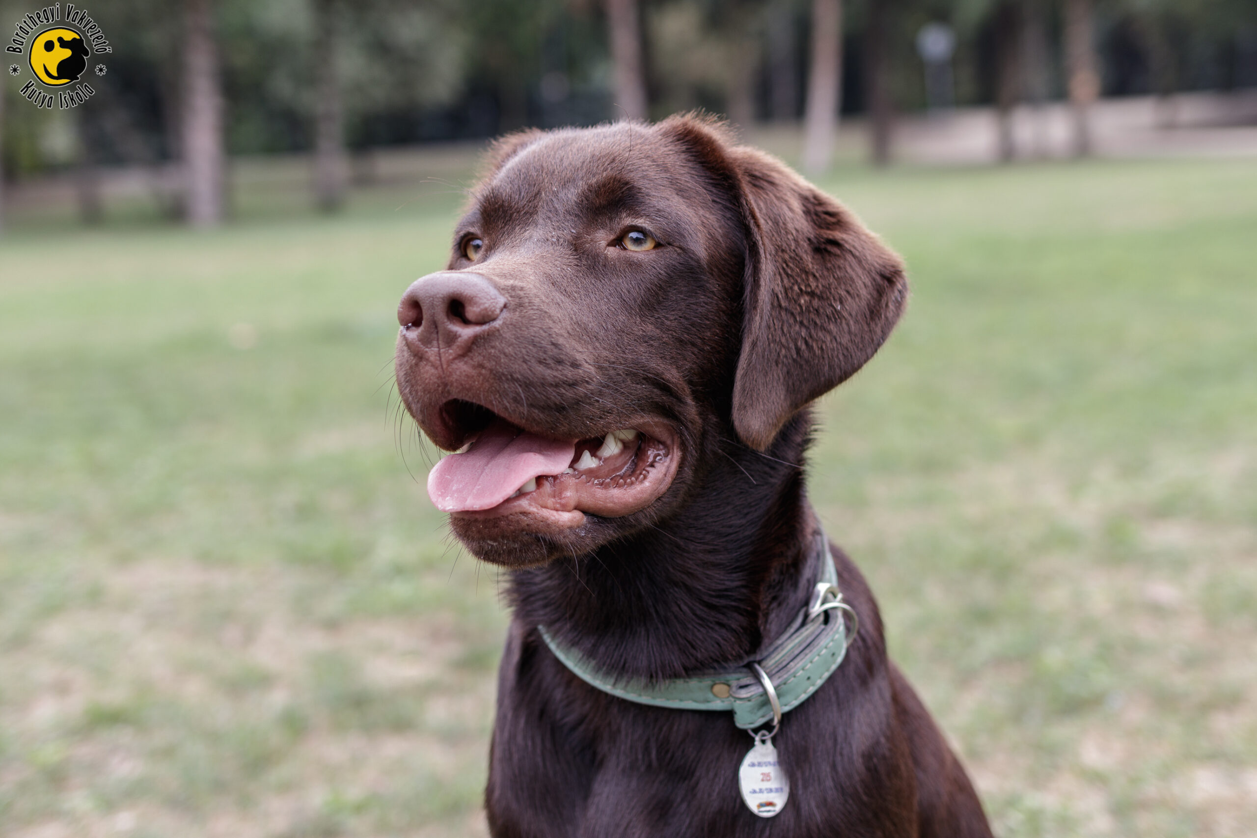 Leon egy igazi energiabomba