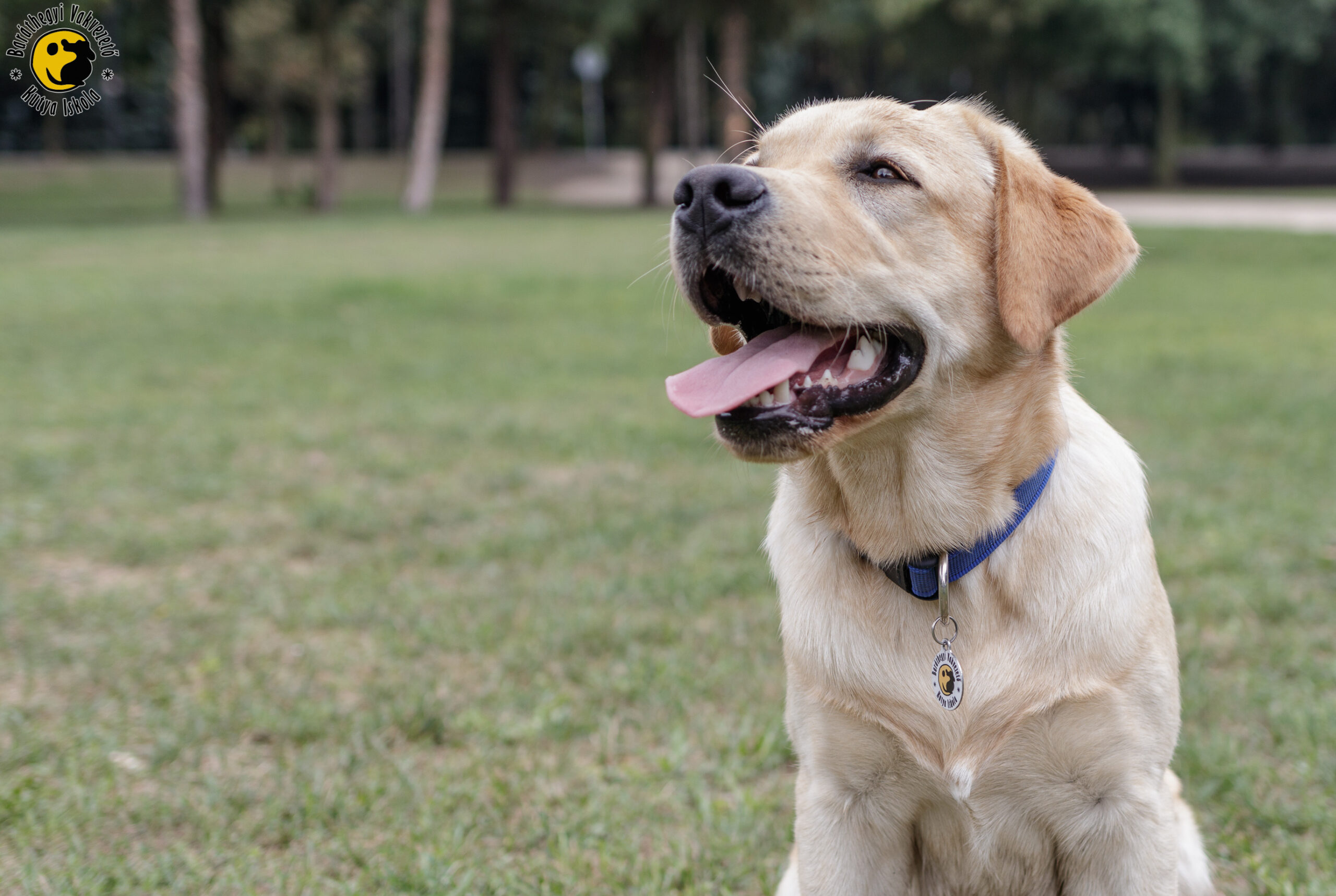 Mágnes nagyon büszke, amikor megdicsérik
