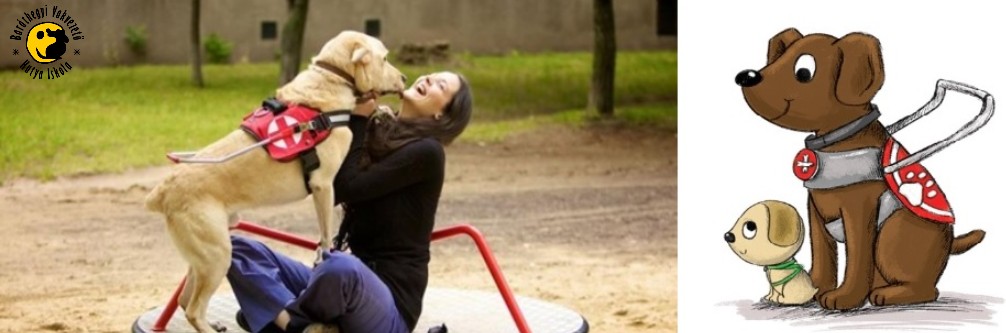 Rumi, the wonder dog