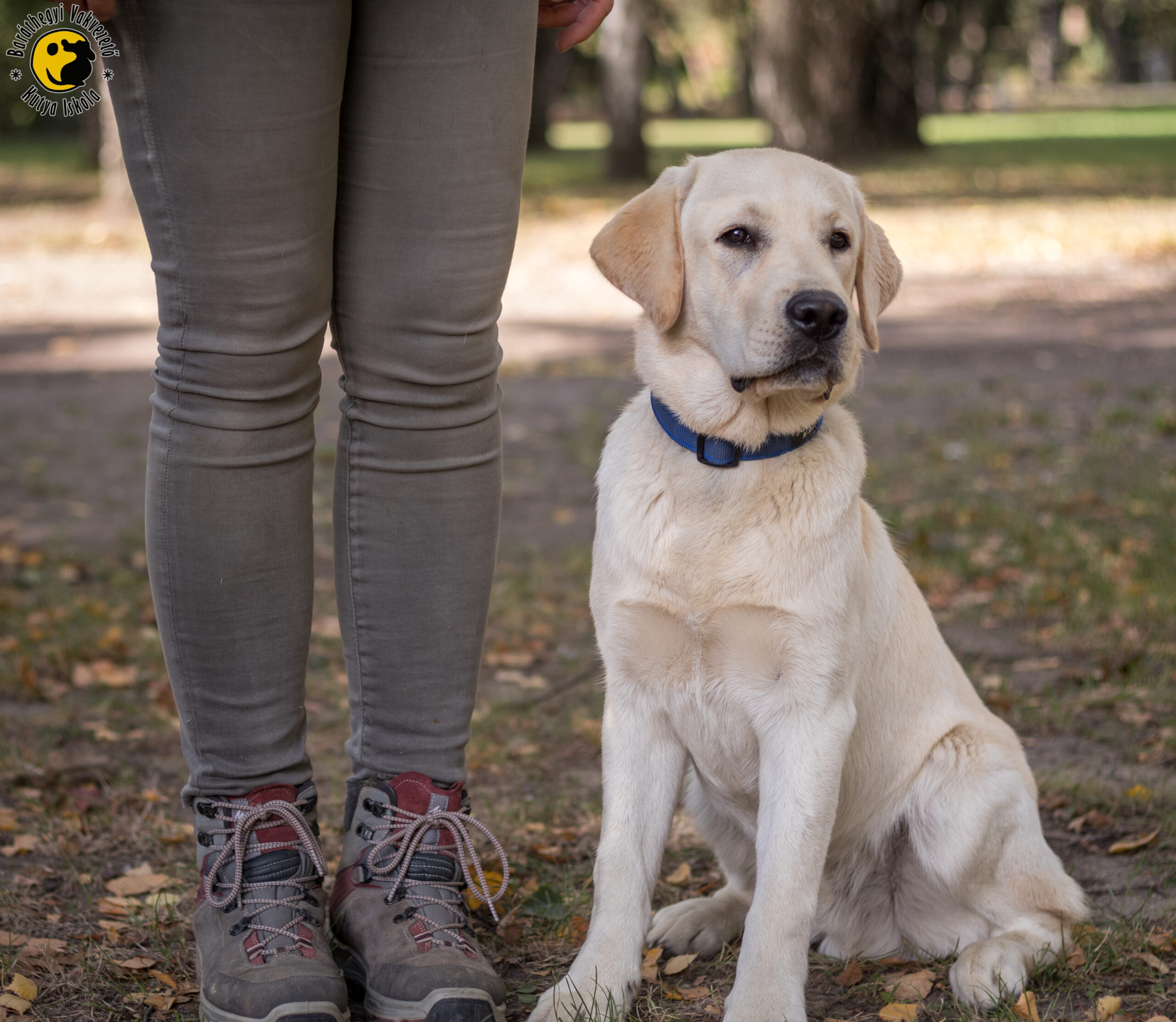 Mítosz hamar köt barátságot