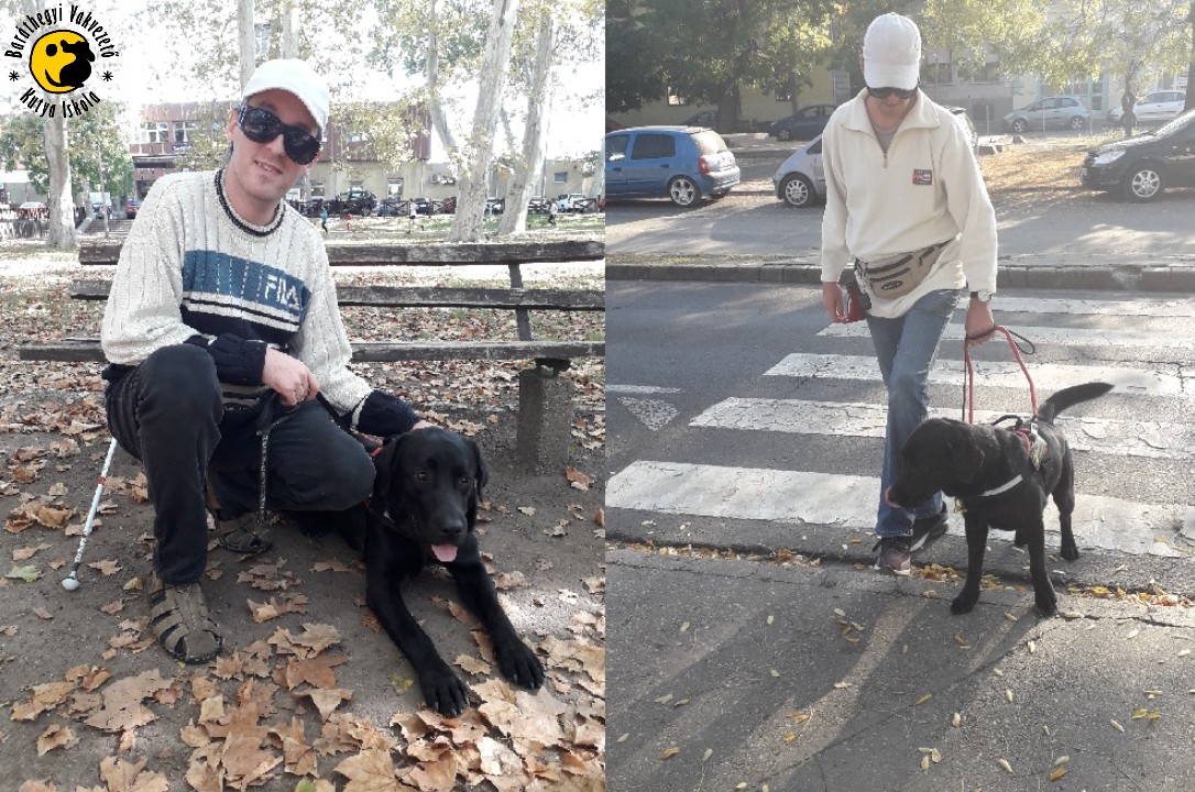 Antal és Grafit sikeres vizsgát tett