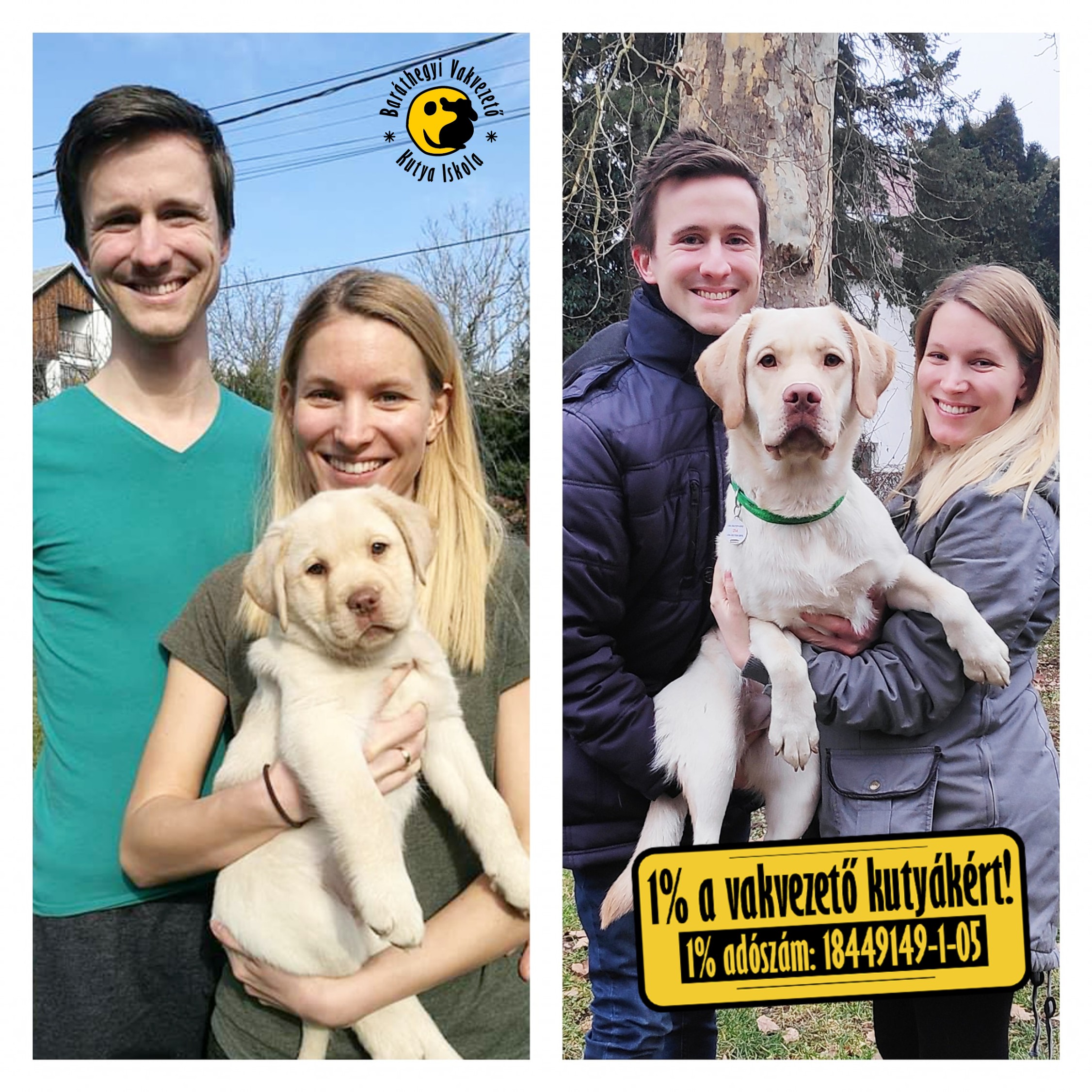 Latte egyetemre megy