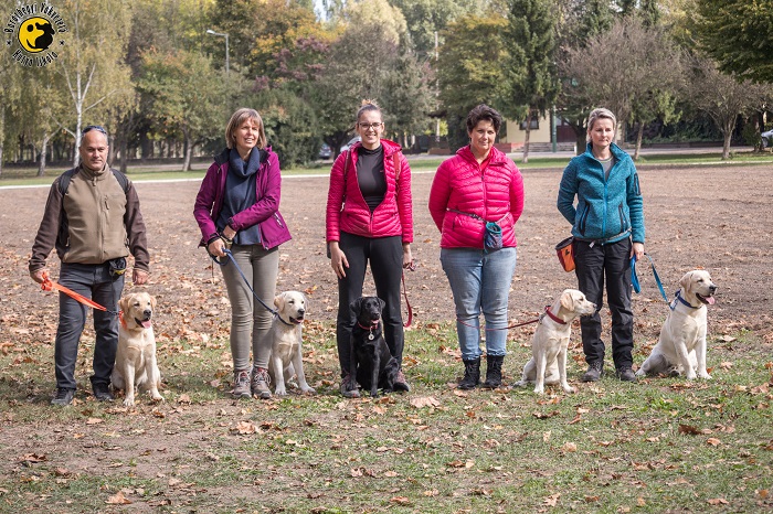 Guide Dog Puppy Training with Playful Activities