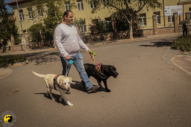 „Szia, vakvezető kutyás srác, segíthetek valamiben?”