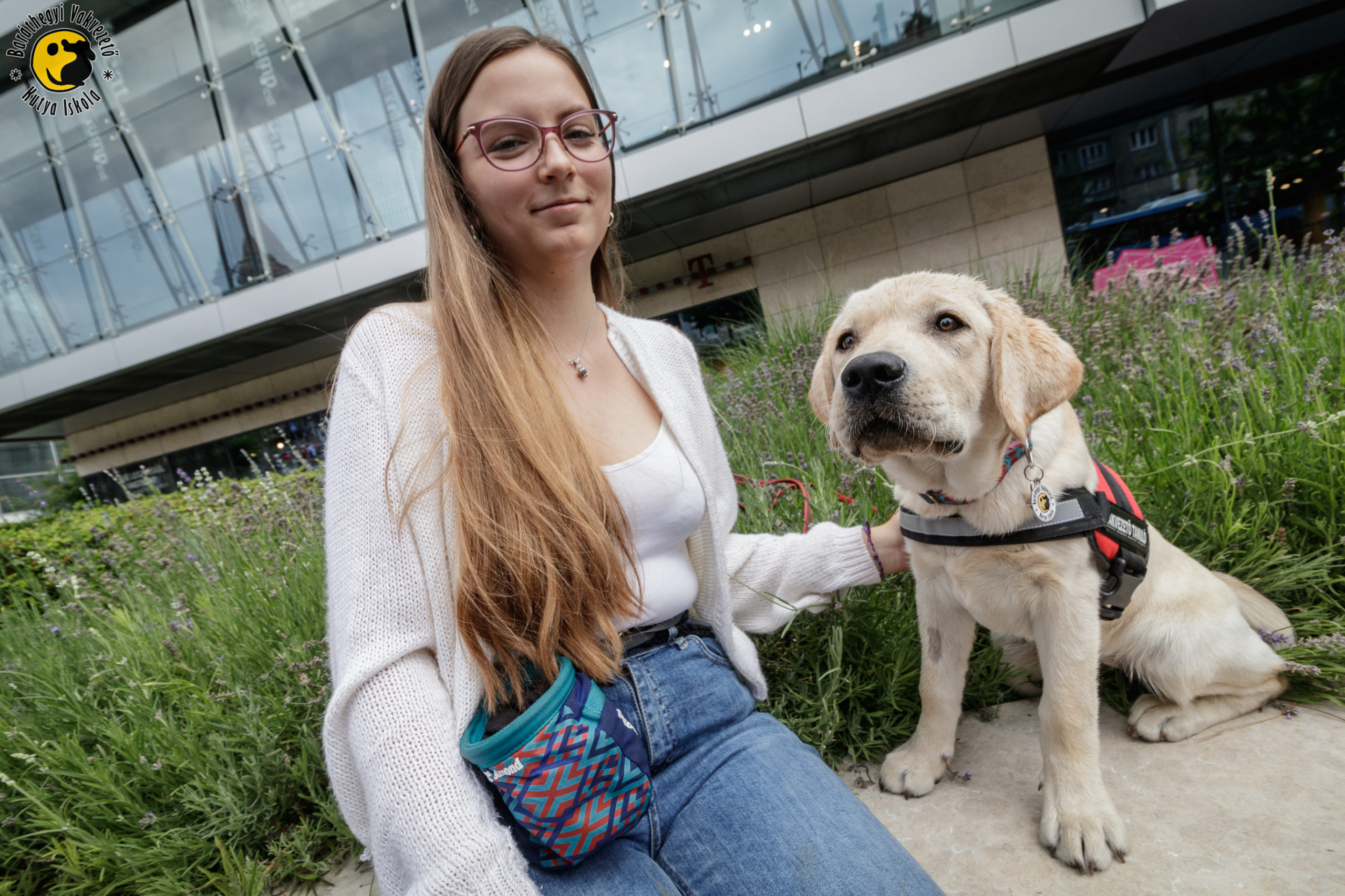 Szoros kapcsolat alakul ki a kölyöknevelők és a vakvezető tanulók között