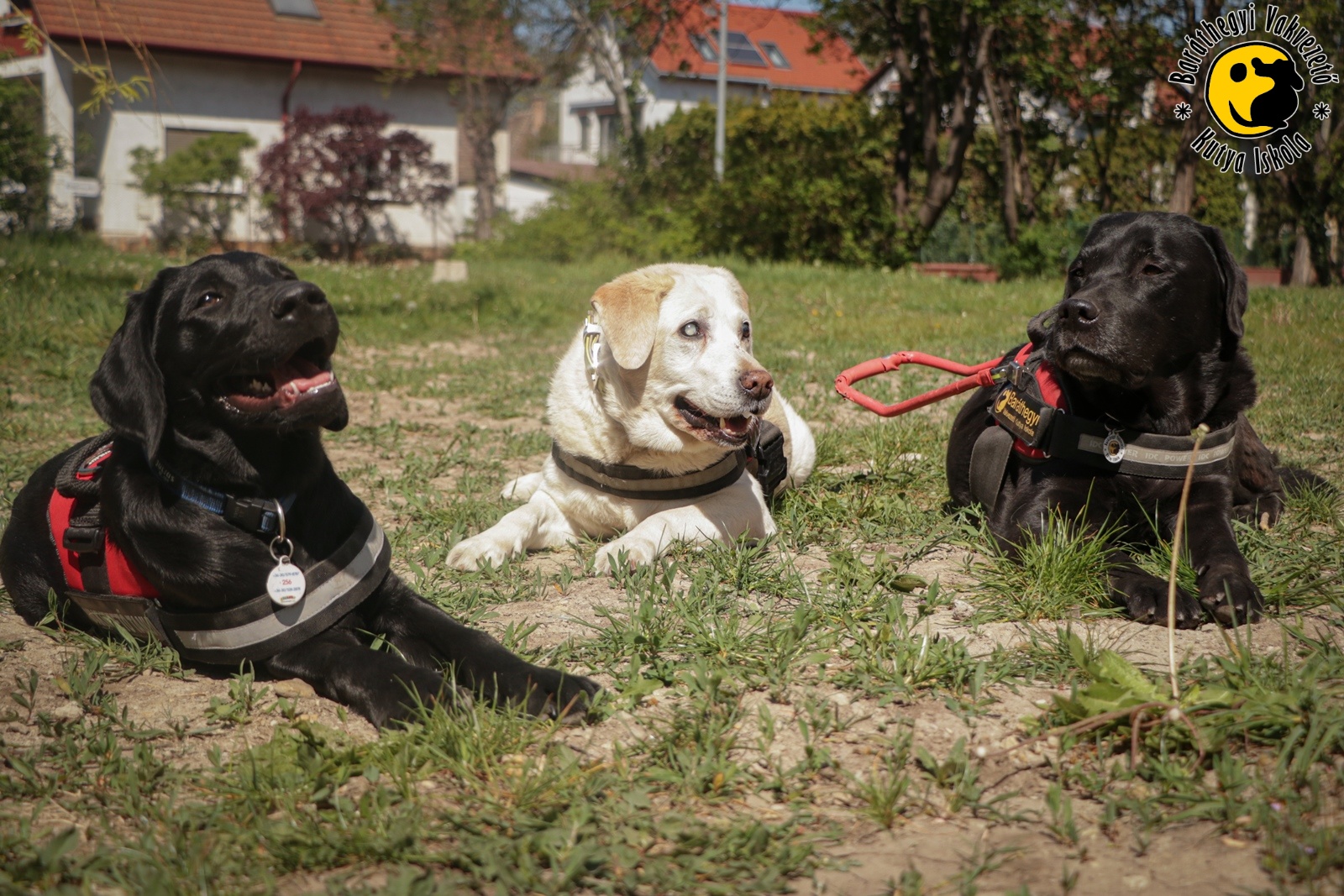 Bogyó meglepetés bulival ünnepelte szülinapját