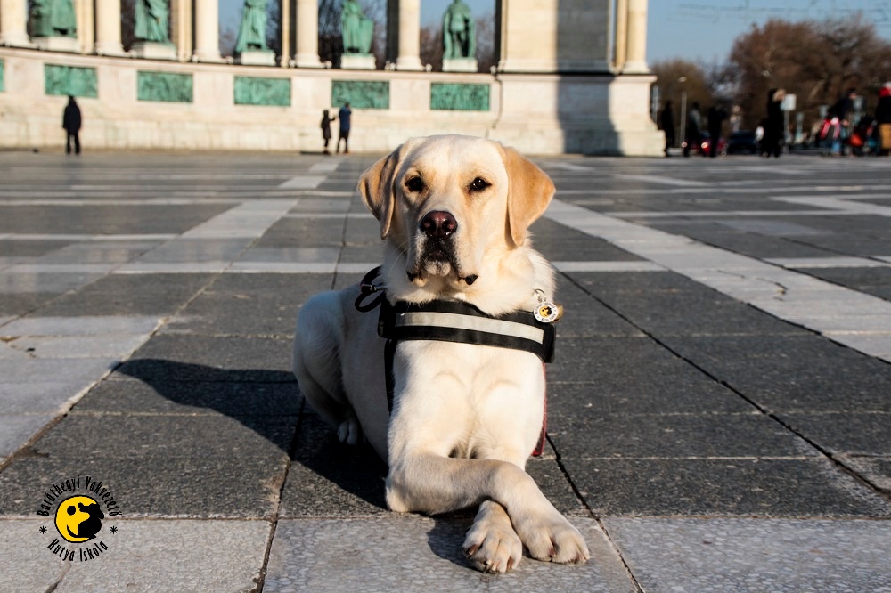 Köszönöm az én különleges Hablatyom