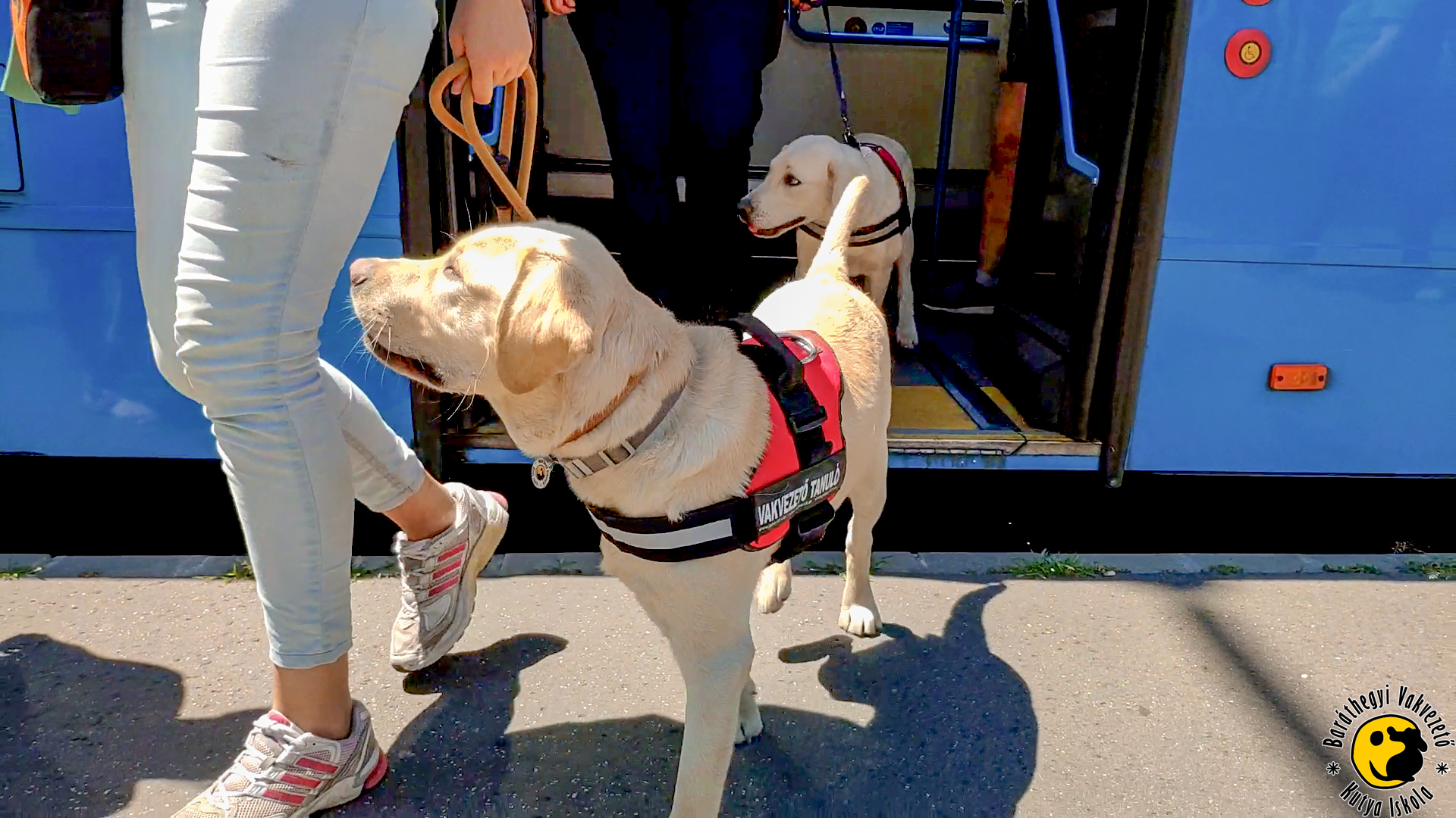 We got on a bus with our guide dog students