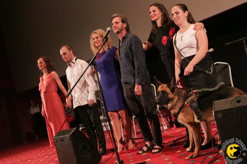 Koncert vaksötétben egy gyönyörű vakvezető kutyával