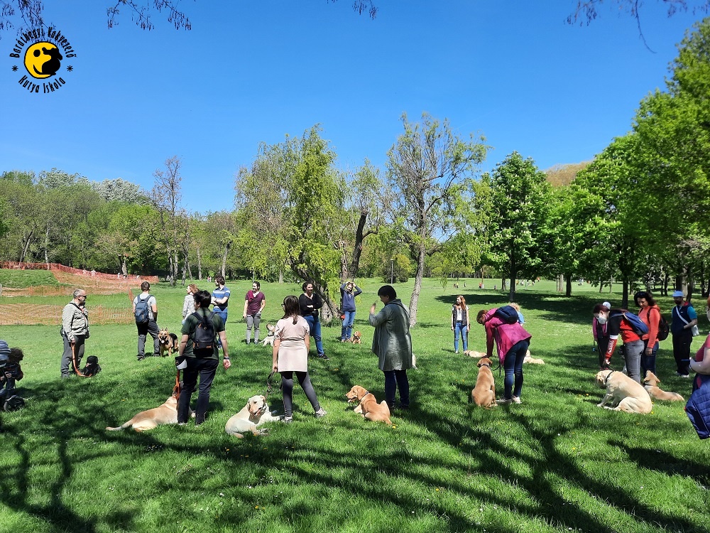 Puppy Pupils Meet After Almost A Year
