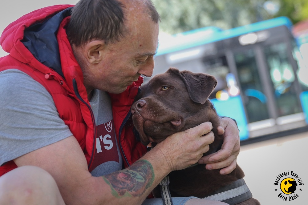 Public transport operator BKV pays recompense to passenger with guide dog