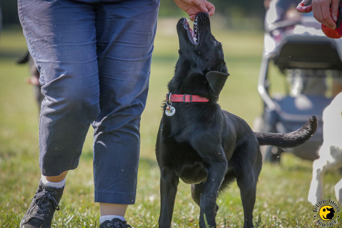 Gazdireptetés és ellenállás a kísértésnek – indul a tanév