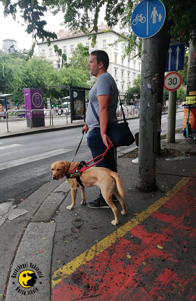 A váratlan helyzeteket is megoldották