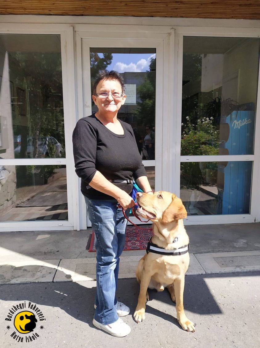 Kölcsönös tisztelet, szeretet és összhang