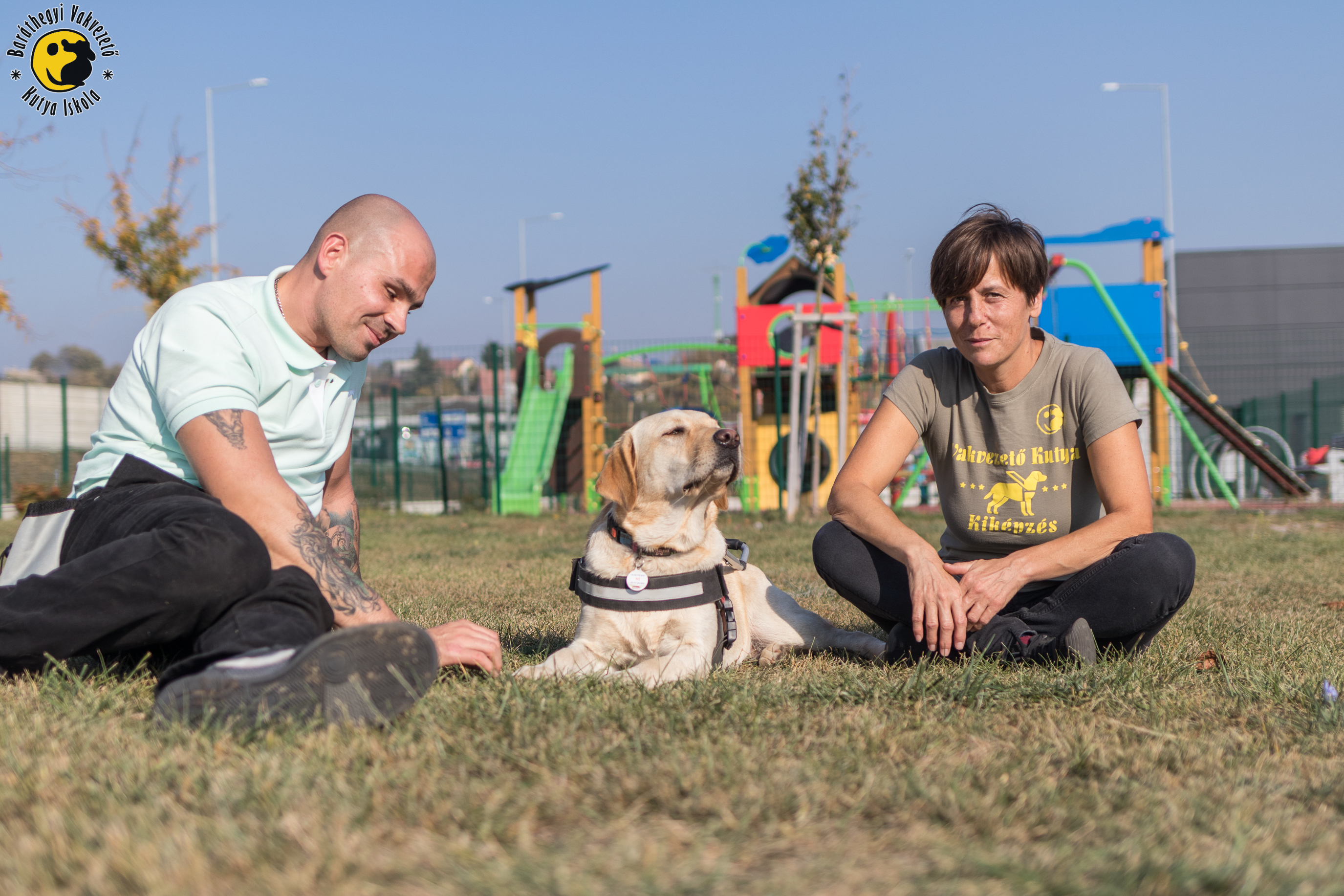 Így élnek a vakvezető kutyák kölyökkortól a nyugdíjas évekig