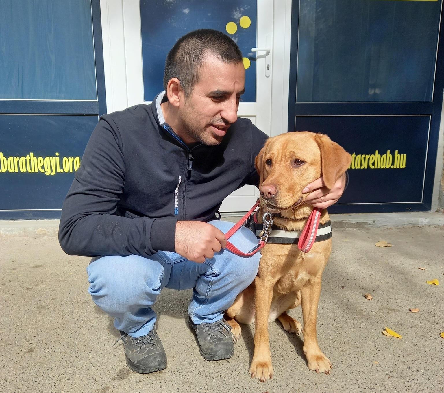 Robi and Ostya took the exam without a hitch