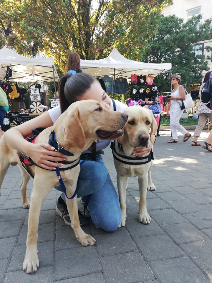 Köszönjük a segítséget