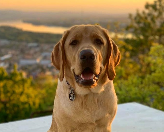 Négy sikeres vizsga szeptemberben