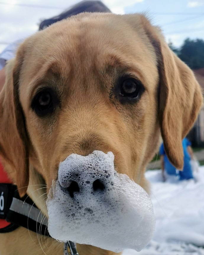Sok rendezvényen vettünk részt szeptemberben is