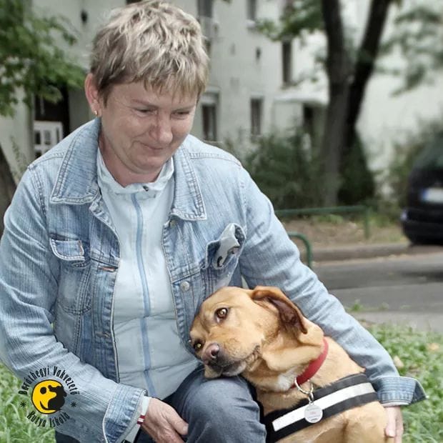 Nyugdíjas vakvezető kutyánk halála megviselte Mesét és Marikát