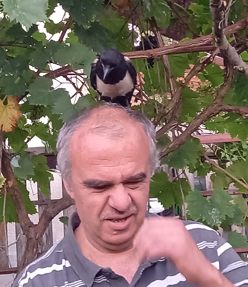 Doctor Dolittle, who has a guide dog, makes friends with a magpie