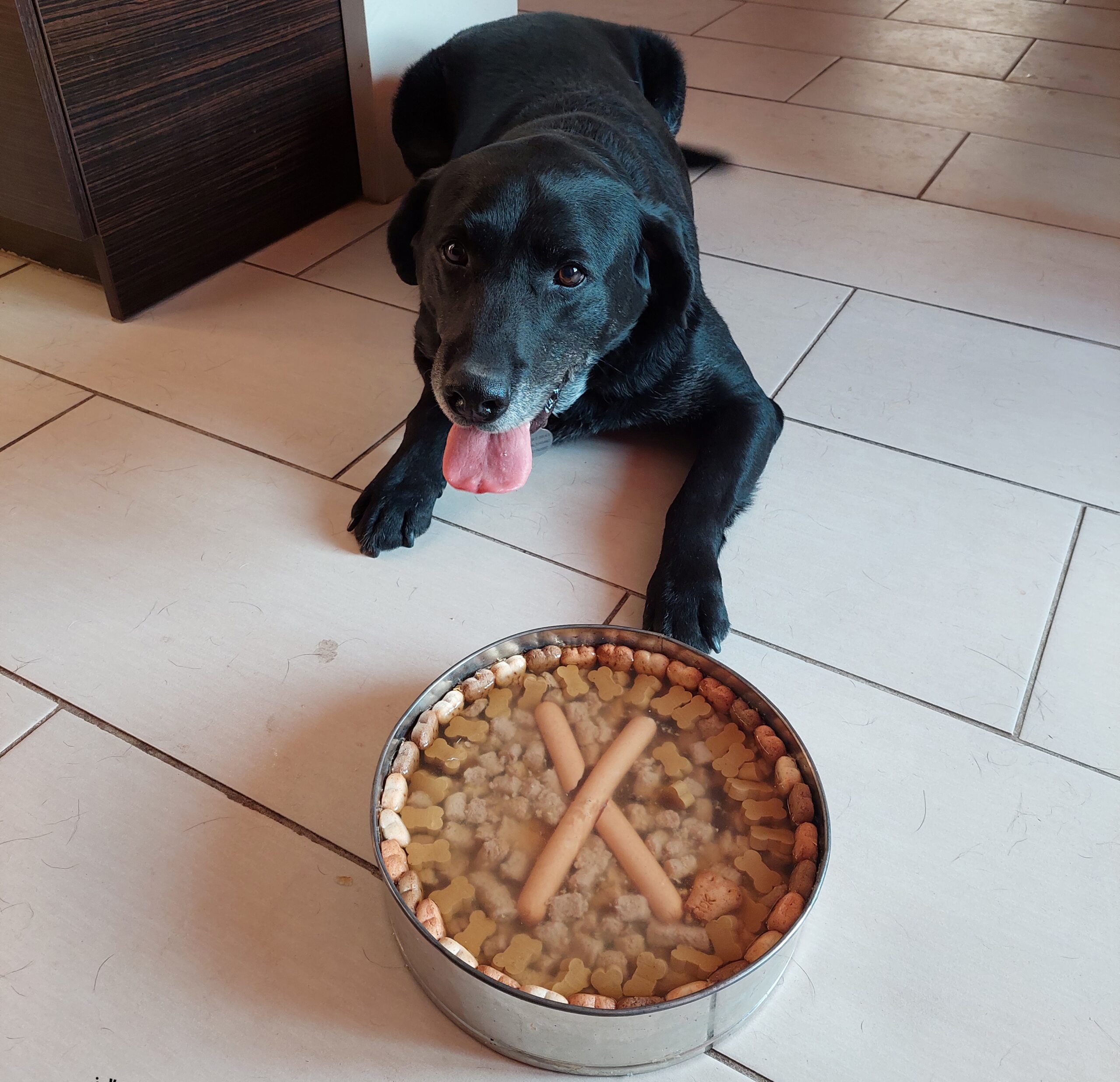 Ebu októberben ünnepelte a 10. születésnapját